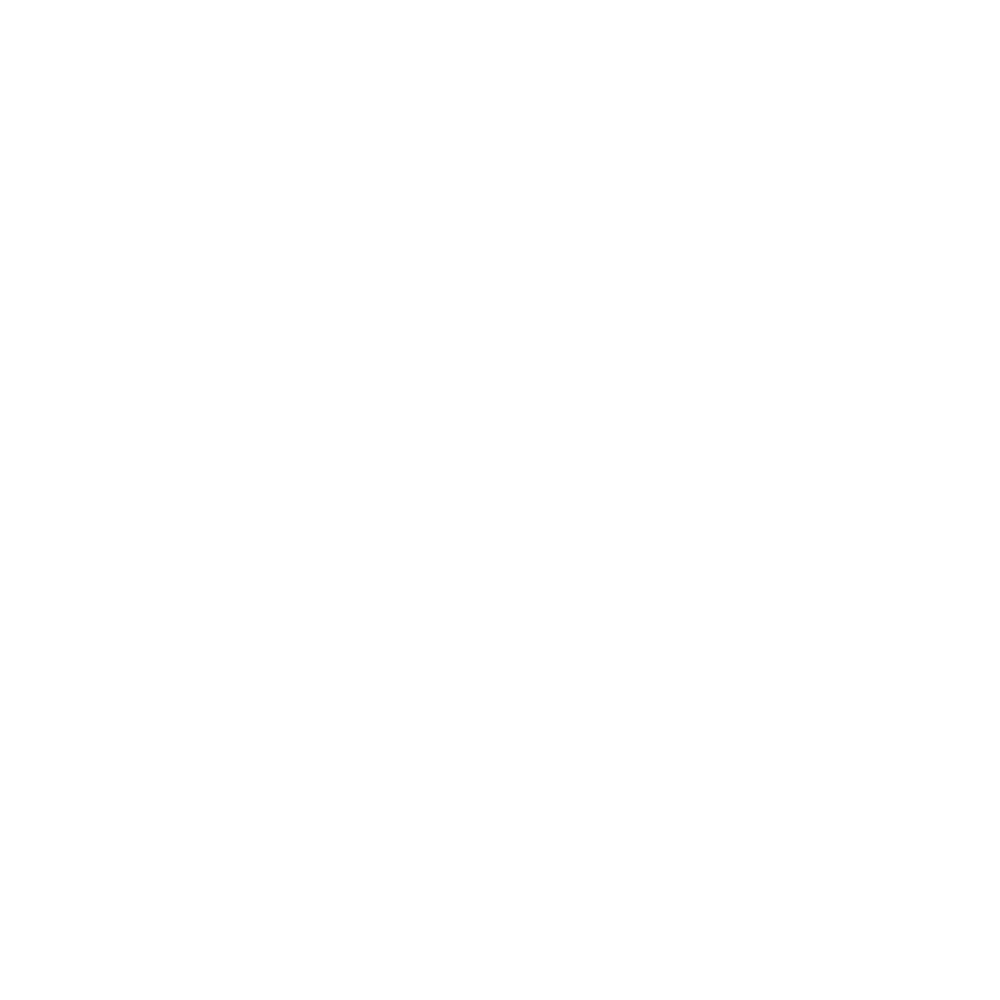 Spektrum Entertainment
